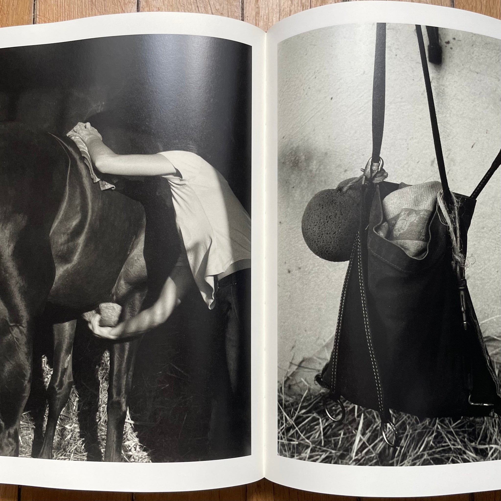 KOTO BOLOFO - HORSEPOWER – vestigevestiges