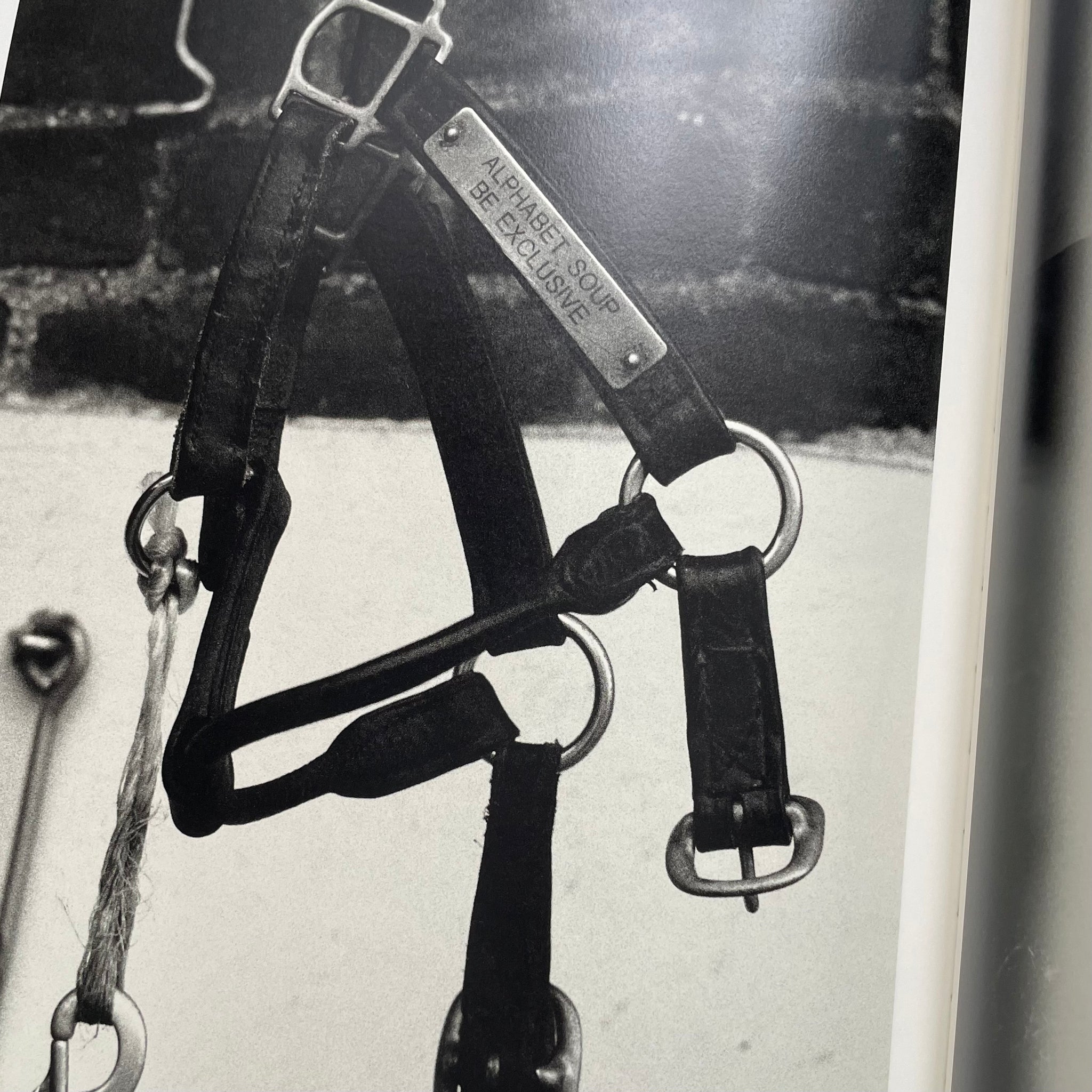 KOTO BOLOFO - HORSEPOWER – vestigevestiges