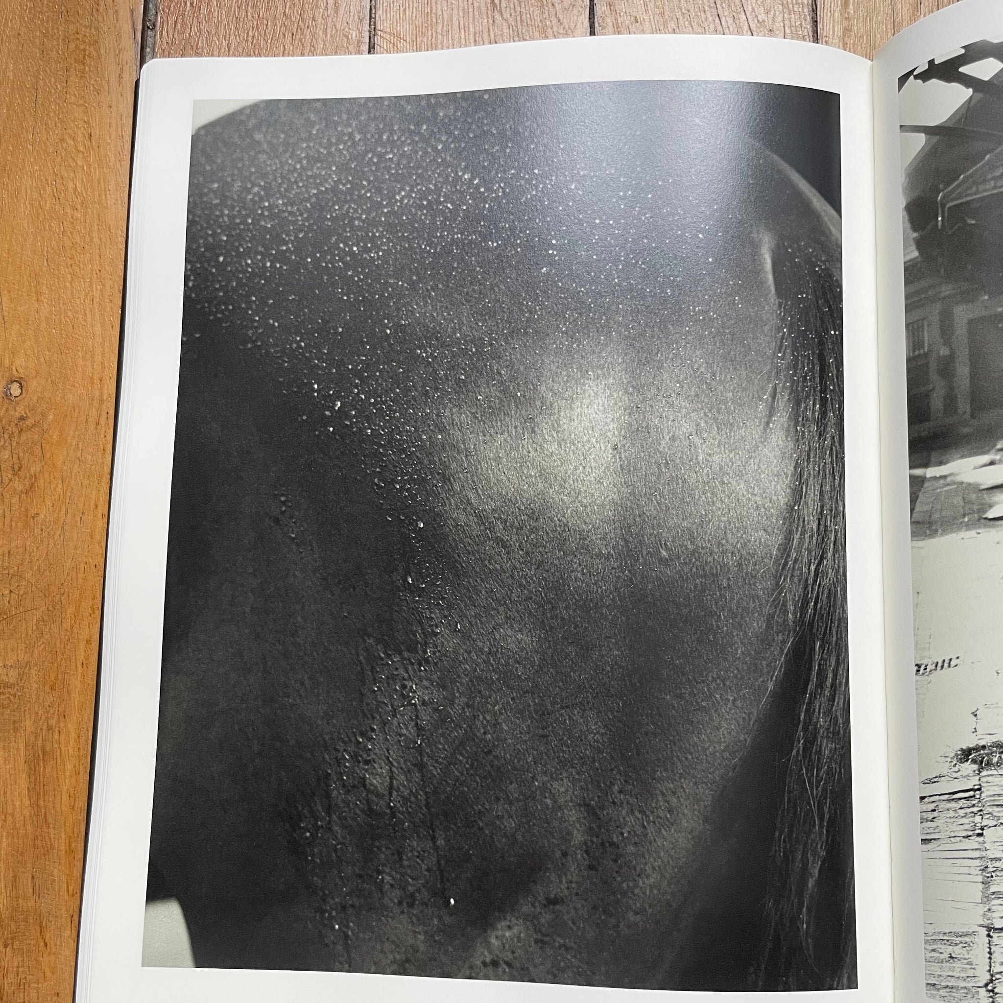 KOTO BOLOFO - HORSEPOWER – vestigevestiges